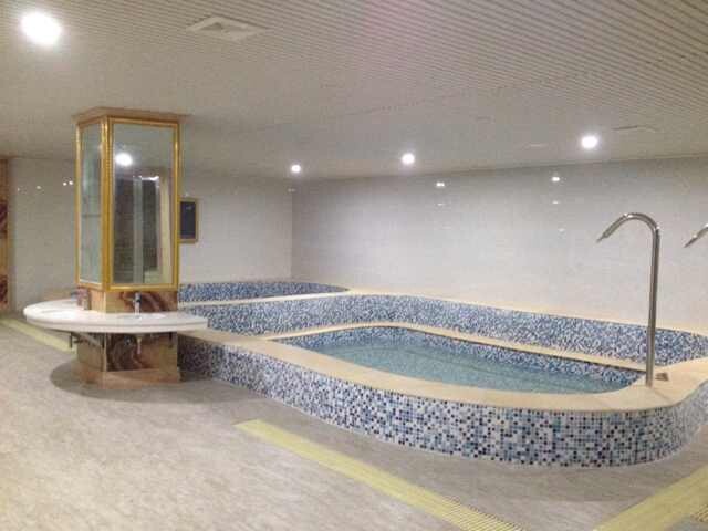 河南省信陽明珠大酒店室內泳池項目